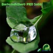 BacterioActive PRO Solid